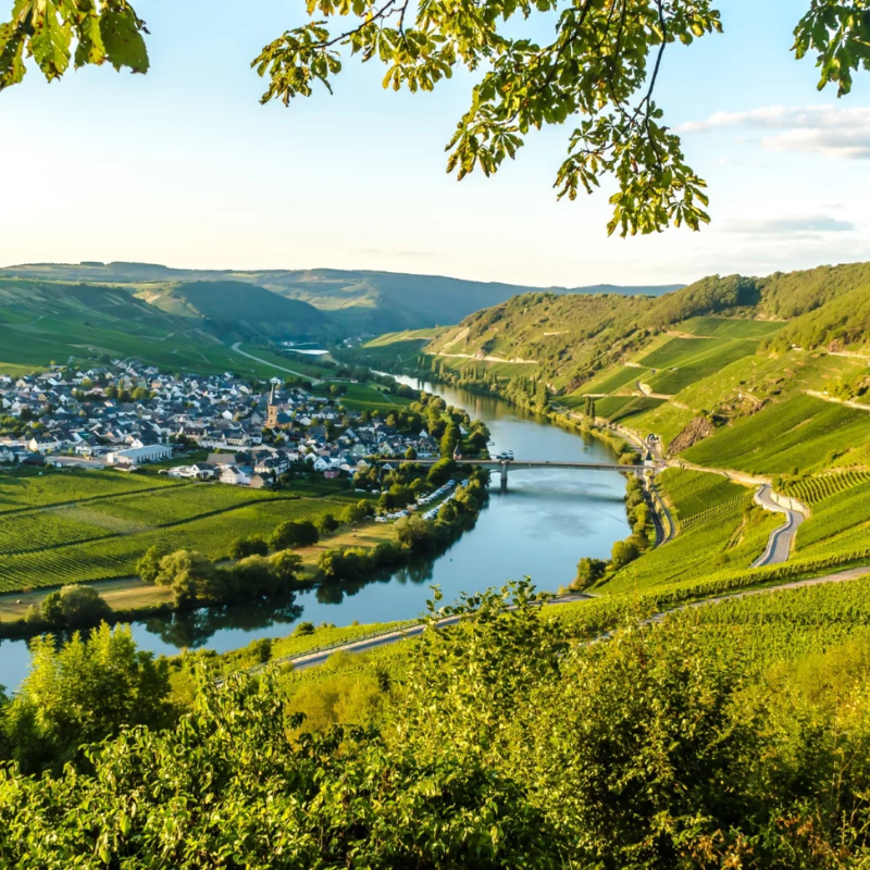 Verblijf aan de Moezel tussen Cochem & Koblenz incl. 3-gangendiner & meer!